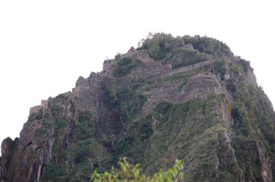 Macchu Picchu_21.JPG