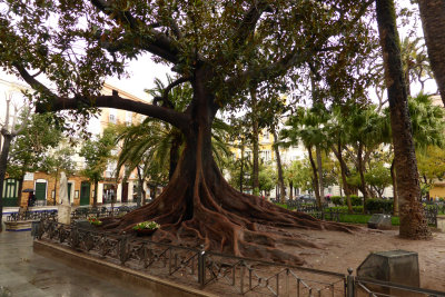 Cadiz5.jpg