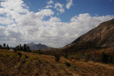 DSC_0848.JPG