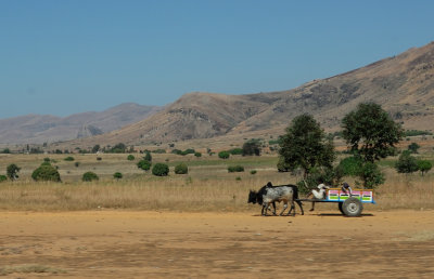DSC_0948.JPG