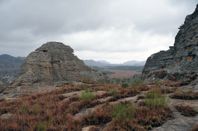 DSC_0989.JPG