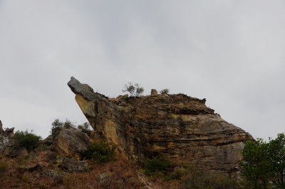 DSC_1002.JPG