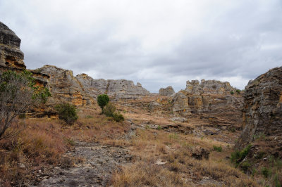 DSC_1033.JPG