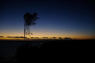 DSC_1202.JPG