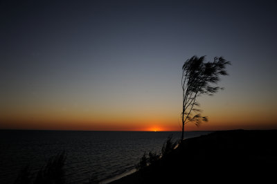 DSC_1318.JPG