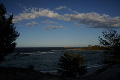 DSC_1353.JPG