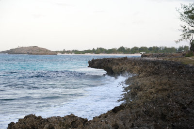 DSC_1370.JPG