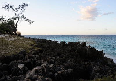 DSC_1372.JPG
