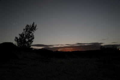 DSC_1383.JPG