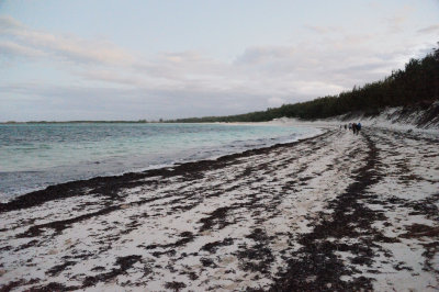 DSC_1390.JPG