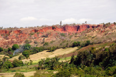 DSC_1447.JPG