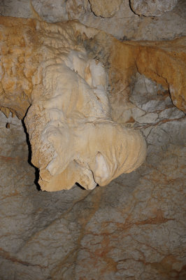 DSC_1603.JPG