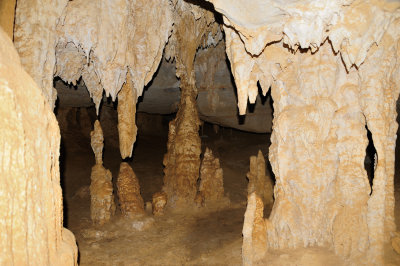 DSC_1609.JPG