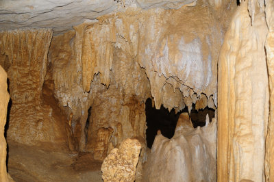 DSC_1613.JPG
