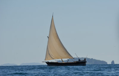 DSC_1842.JPG