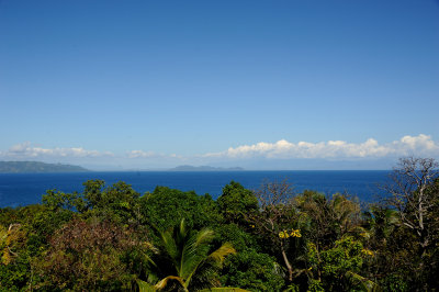 DSC_1991.JPG
