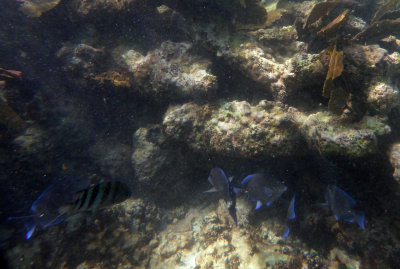 underwaterworld6.JPG