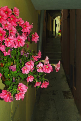 Cinque Terre