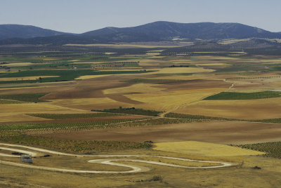 Consuegra Windmills