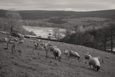 Peak District