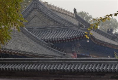 A1506.jpg