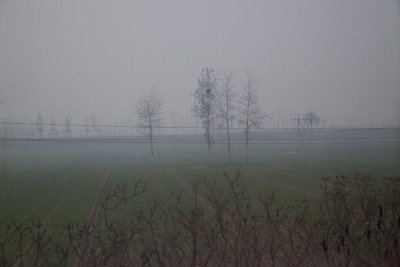 A2057.jpg
