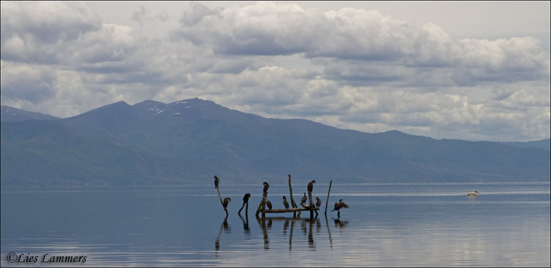 Prespa Lake Macedonia_MG_8857