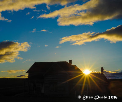 Sunstar in the Palouse