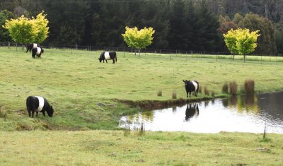 Tasmania, midlands