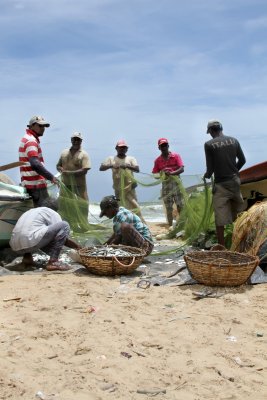 Fishermen Negombo