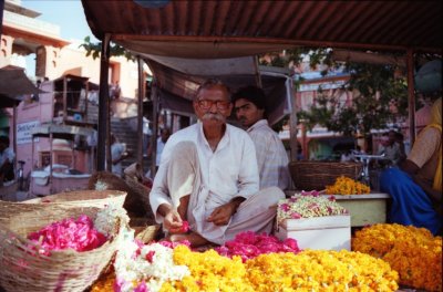 flower merchant Jaipur
