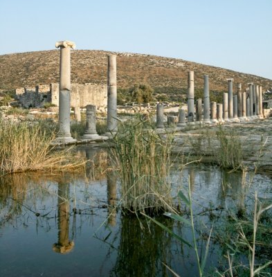 Patara