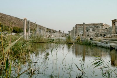 Patara