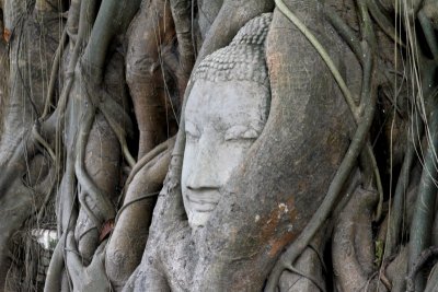 Ayutthaya, Wat Pra Mahatat