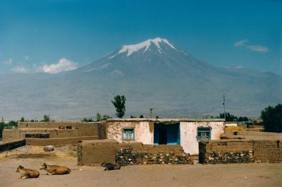 Ararat