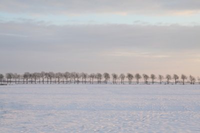 farmland in the snow