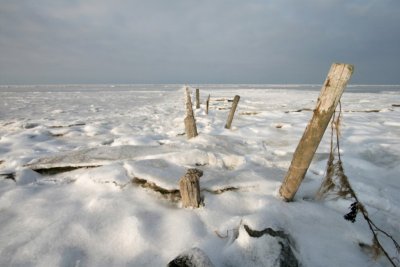 Wad in winter