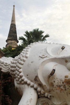 Ayutthaya, Wat Yai Chaimonkol