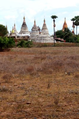 Bagan, Minochanta
