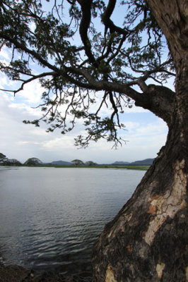 Tissamaharama lake