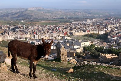 Fes, view from Borj Nord