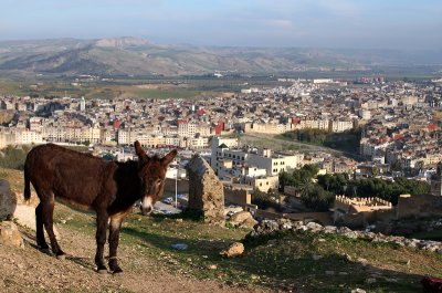 Fes, view from Borj Nord