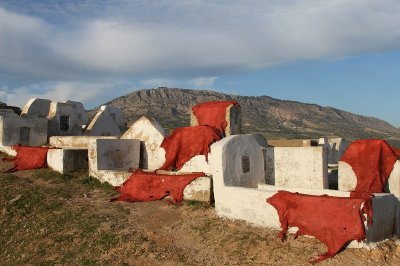 Fes, Borj Nord: leather drying on graves