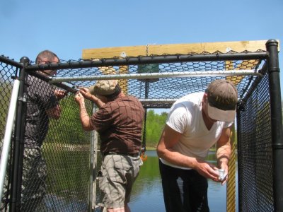 IMG_8178.jpg