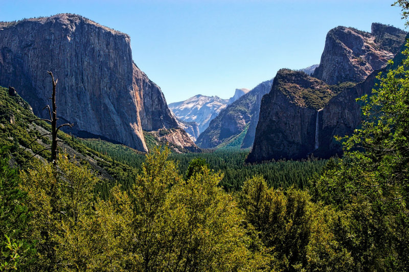 Enhanced - Yosemite National Park