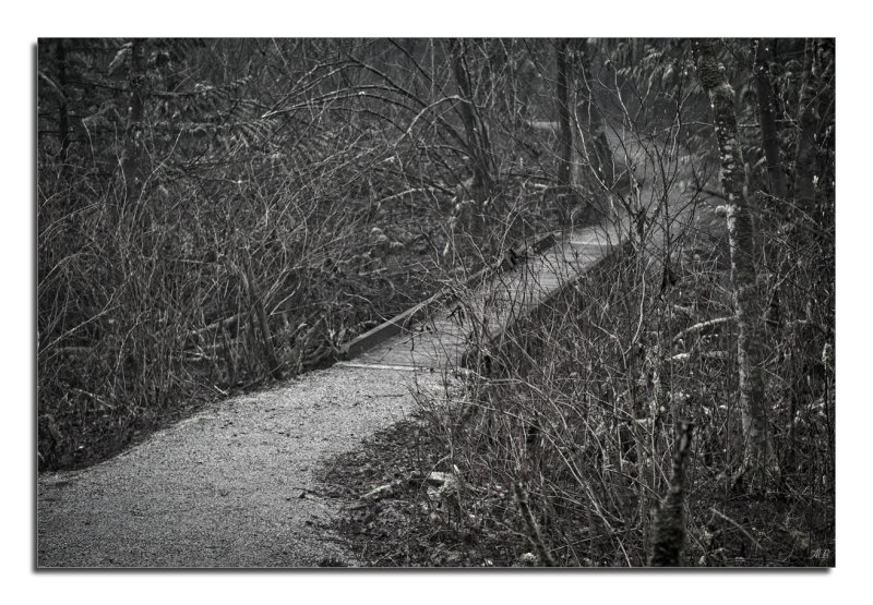 Paths Often Passed....