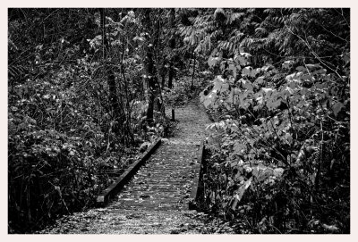 Discovery...