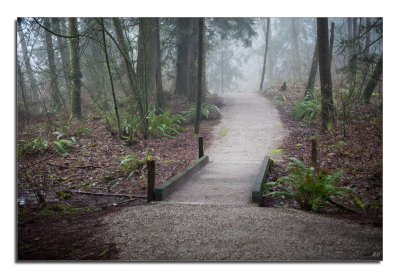 A Foggy Morning...