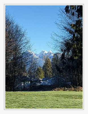 Along The Pathway...
