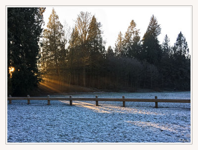 It's All About The Light...